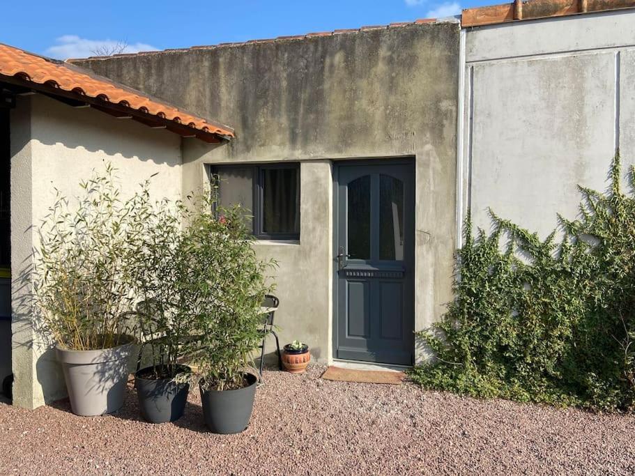 Maisonnette Cosy A 10 Mn De Nantes 雷泽 外观 照片